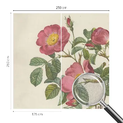 Motivtapete nach Maß mit Rosenmotiv