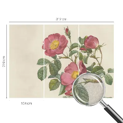 Motivtapete nach Maß mit Rosenmotiv