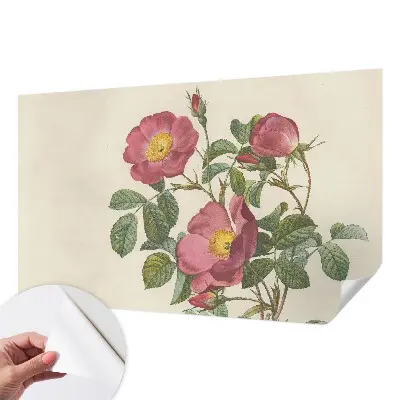 Motivtapete nach Maß mit Rosenmotiv