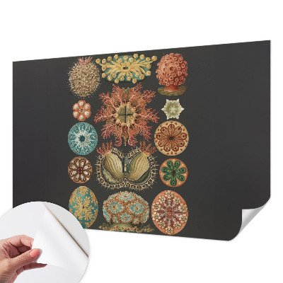 80D-Fototapete fürs Wohnzimmer mit maritimem Motiv