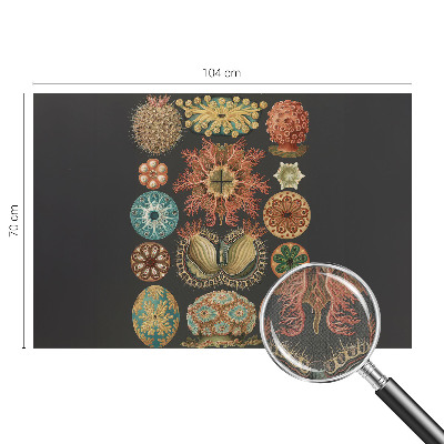 80D-Fototapete fürs Wohnzimmer mit maritimem Motiv