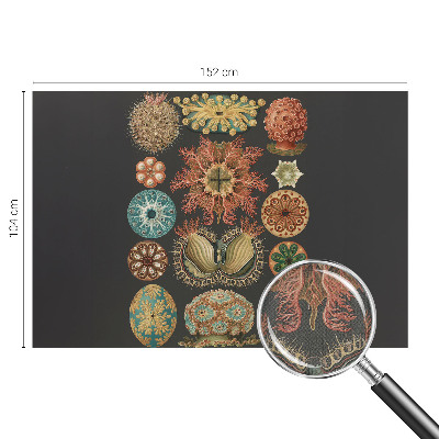 80D-Fototapete fürs Wohnzimmer mit maritimem Motiv