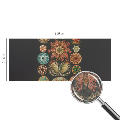 80D-Fototapete fürs Wohnzimmer mit maritimem Motiv
