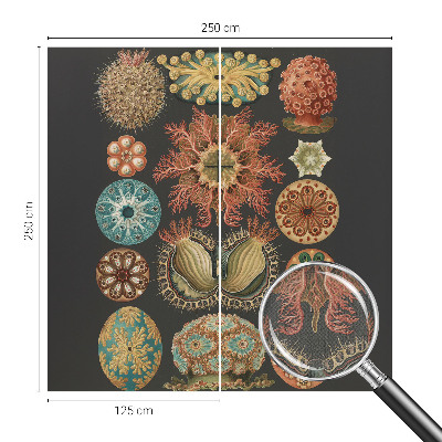 80D-Fototapete fürs Wohnzimmer mit maritimem Motiv