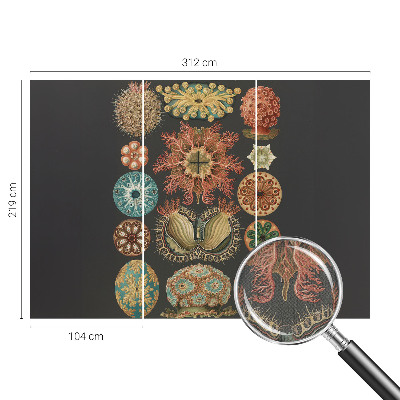 80D-Fototapete fürs Wohnzimmer mit maritimem Motiv