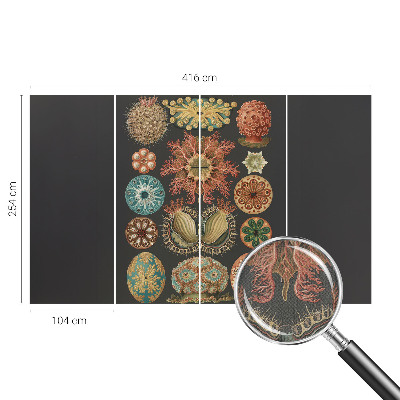 80D-Fototapete fürs Wohnzimmer mit maritimem Motiv