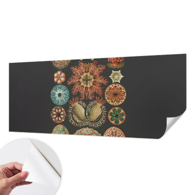 80D-Fototapete fürs Wohnzimmer mit maritimem Motiv