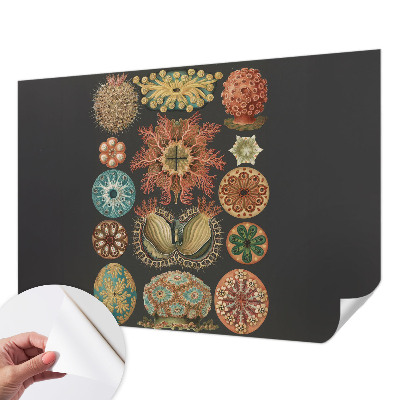 80D-Fototapete fürs Wohnzimmer mit maritimem Motiv