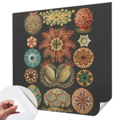80D-Fototapete fürs Wohnzimmer mit maritimem Motiv