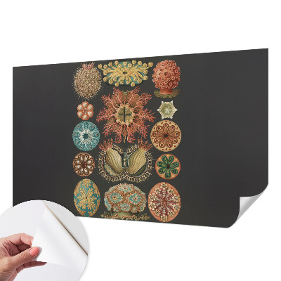 80D-Fototapete fürs Wohnzimmer mit maritimem Motiv