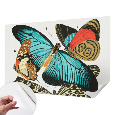 Selbstklebende Fototapete Bunte Schmetterlinge