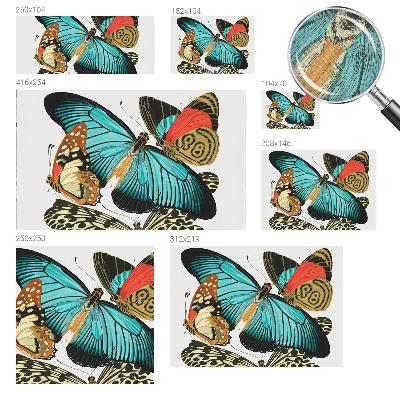 Selbstklebende Fototapete Bunte Schmetterlinge