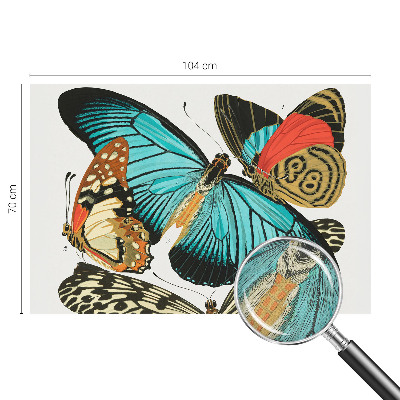 Selbstklebende Fototapete Bunte Schmetterlinge