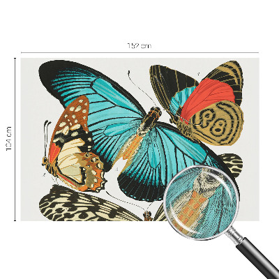 Selbstklebende Fototapete Bunte Schmetterlinge