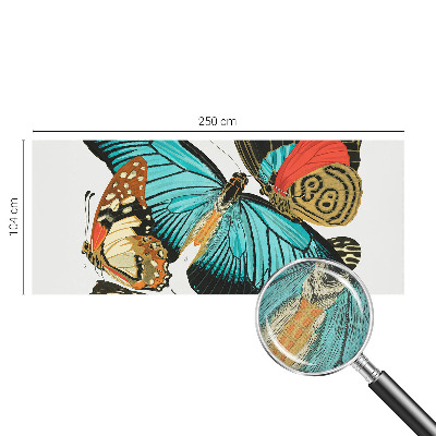 Selbstklebende Fototapete Bunte Schmetterlinge