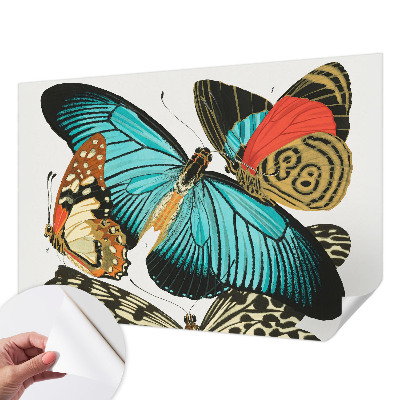 Selbstklebende Fototapete Bunte Schmetterlinge