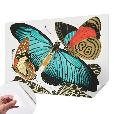 Selbstklebende Fototapete Bunte Schmetterlinge