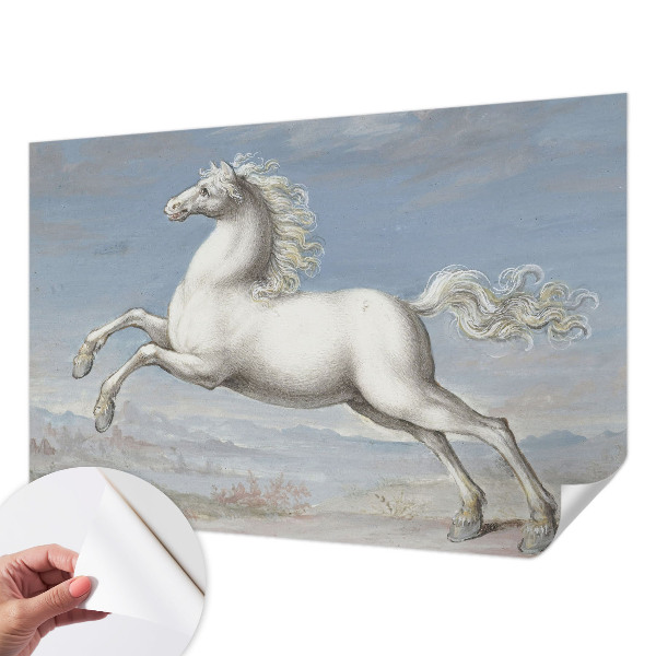 78D-Fototapete Pferde im Sprung