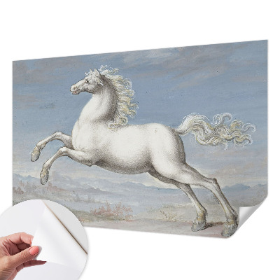 78D-Fototapete Pferde im Sprung