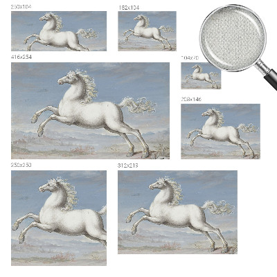 78D-Fototapete Pferde im Sprung