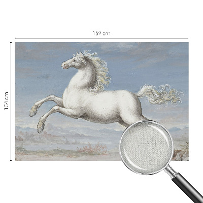 78D-Fototapete Pferde im Sprung