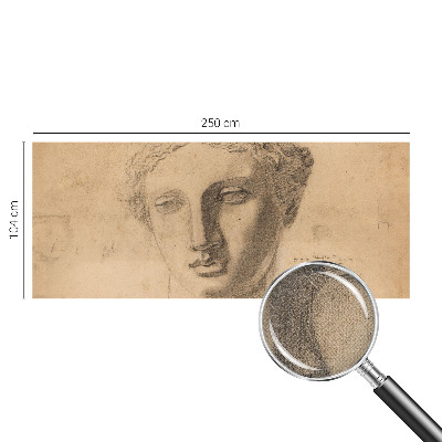 Selbstklebende Fototapete für die Wand Frauenporträt