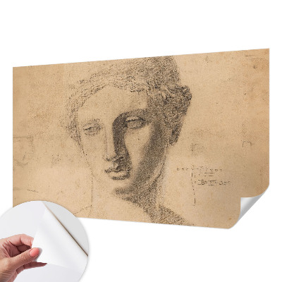 Selbstklebende Fototapete für die Wand Frauenporträt