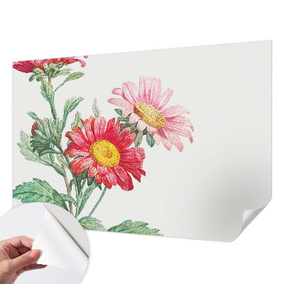 Moderne Fototapete nach Maß mit zarten Blüten
