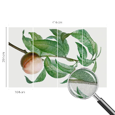 Hochwertige Bildtapete Reifer Pfirsich