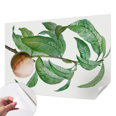 Hochwertige Bildtapete Reifer Pfirsich