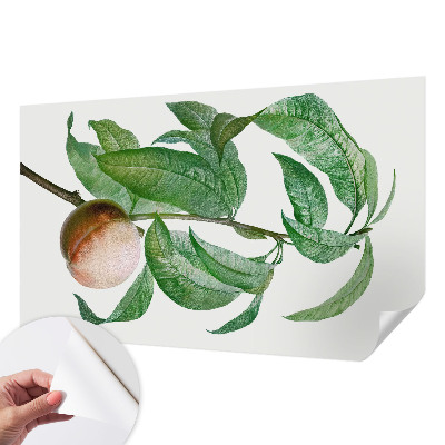 Hochwertige Bildtapete Reifer Pfirsich