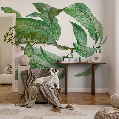 Hochwertige Bildtapete Reifer Pfirsich