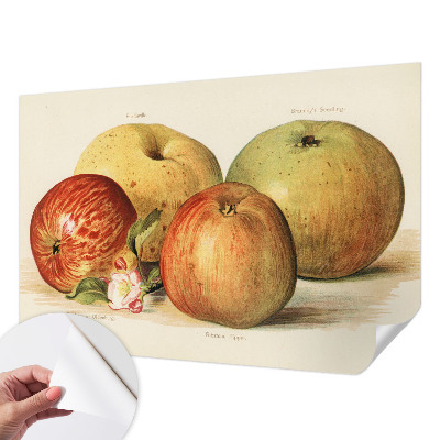 Vintage tapete Apfelblüten