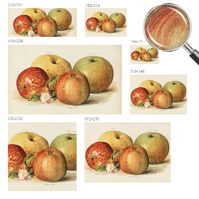 Vintage tapete Apfelblüten