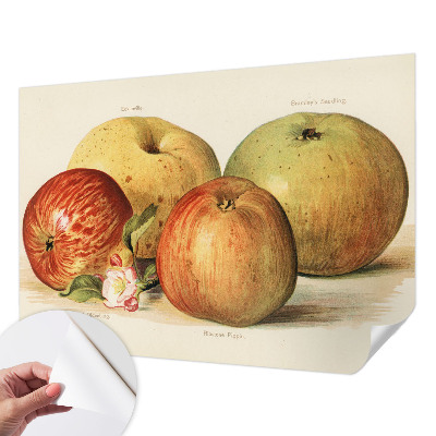 Vintage tapete Apfelblüten