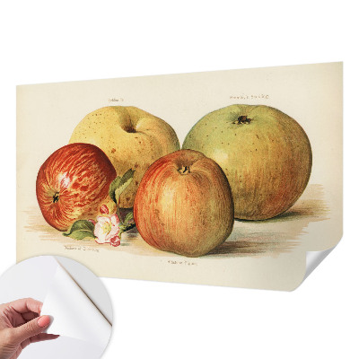 Vintage Tapete mit Apfelblütenmuster
