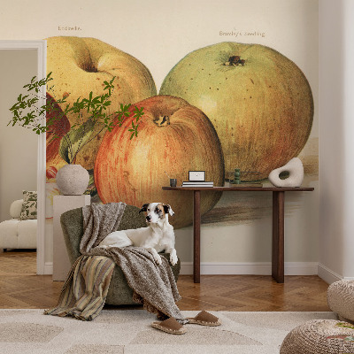 Vintage tapete Apfelblüten