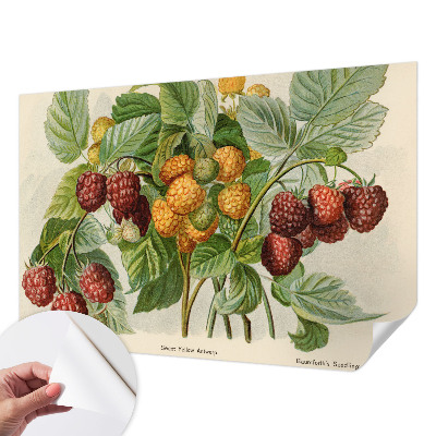 Selbstklebende Fototapete mit klassischem Himbeeren-Motiv