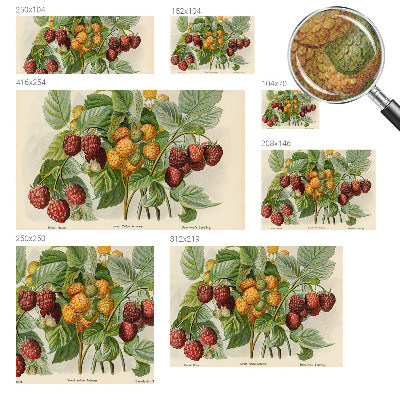 Selbstklebende Fototapete Klassische Himbeeren