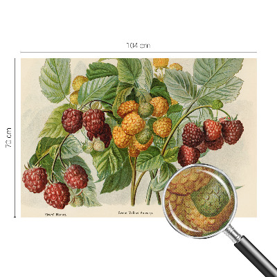 Selbstklebende Fototapete mit klassischem Himbeeren-Motiv
