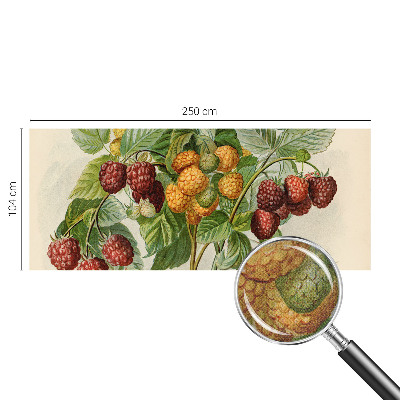 Selbstklebende Fototapete mit klassischem Himbeeren-Motiv