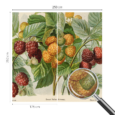 Selbstklebende Fototapete mit klassischem Himbeeren-Motiv