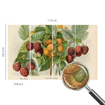 Selbstklebende Fototapete mit klassischem Himbeeren-Motiv