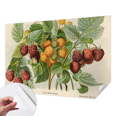 Selbstklebende Fototapete mit klassischem Himbeeren-Motiv