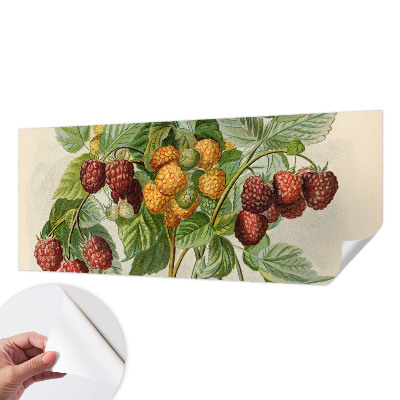 Selbstklebende Fototapete mit klassischem Himbeeren-Motiv