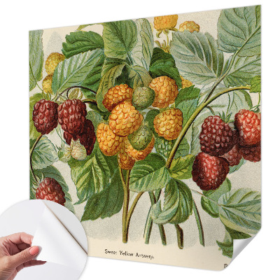 Selbstklebende Fototapete mit klassischem Himbeeren-Motiv