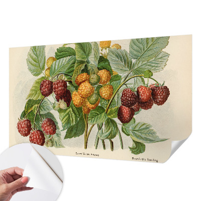 Selbstklebende Fototapete mit klassischem Himbeeren-Motiv