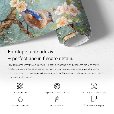 Fototapete nach Maß mit historischem Kartenmotiv