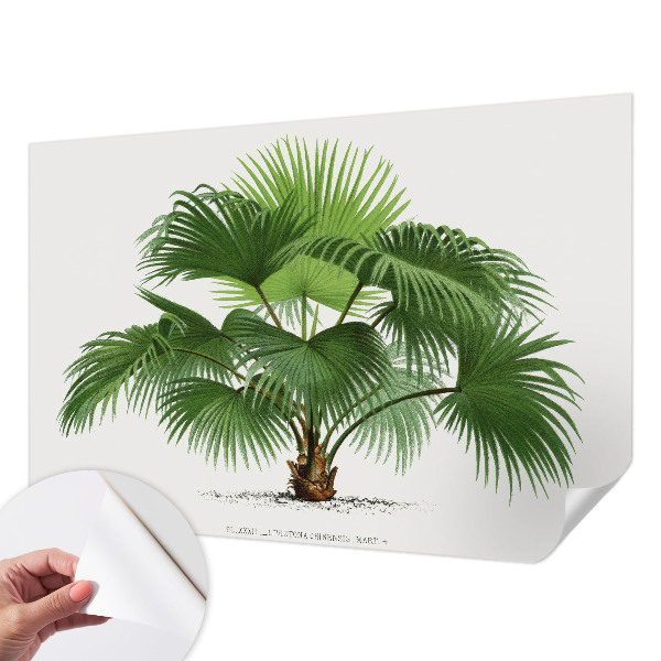Motivtapete fürs Wohnzimmer mit exotischem Palmenmotiv