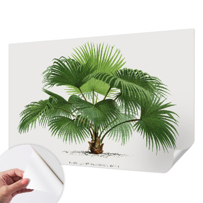Motivtapete fürs Wohnzimmer mit exotischem Palmenmotiv